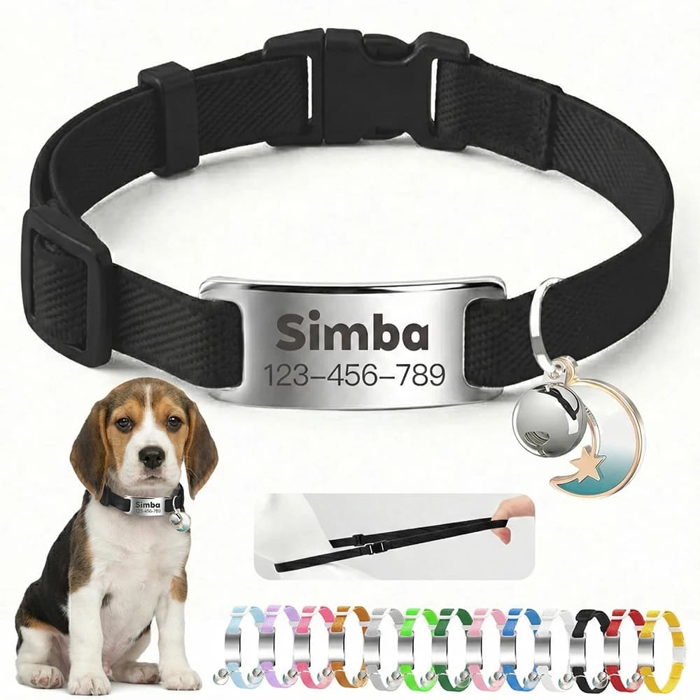 Collare Elastico Personalizzato per Gatti con Incisione Gratuita, Collana Antifurto per Cuccioli e Gattini con Targhetta ID, Campanello e Ornamento a Luna