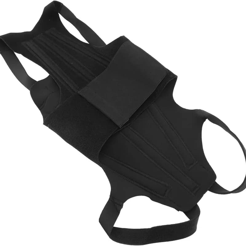 Dog Back Support Harness, Pet Spinal Brace for IVDD Rehabilitation