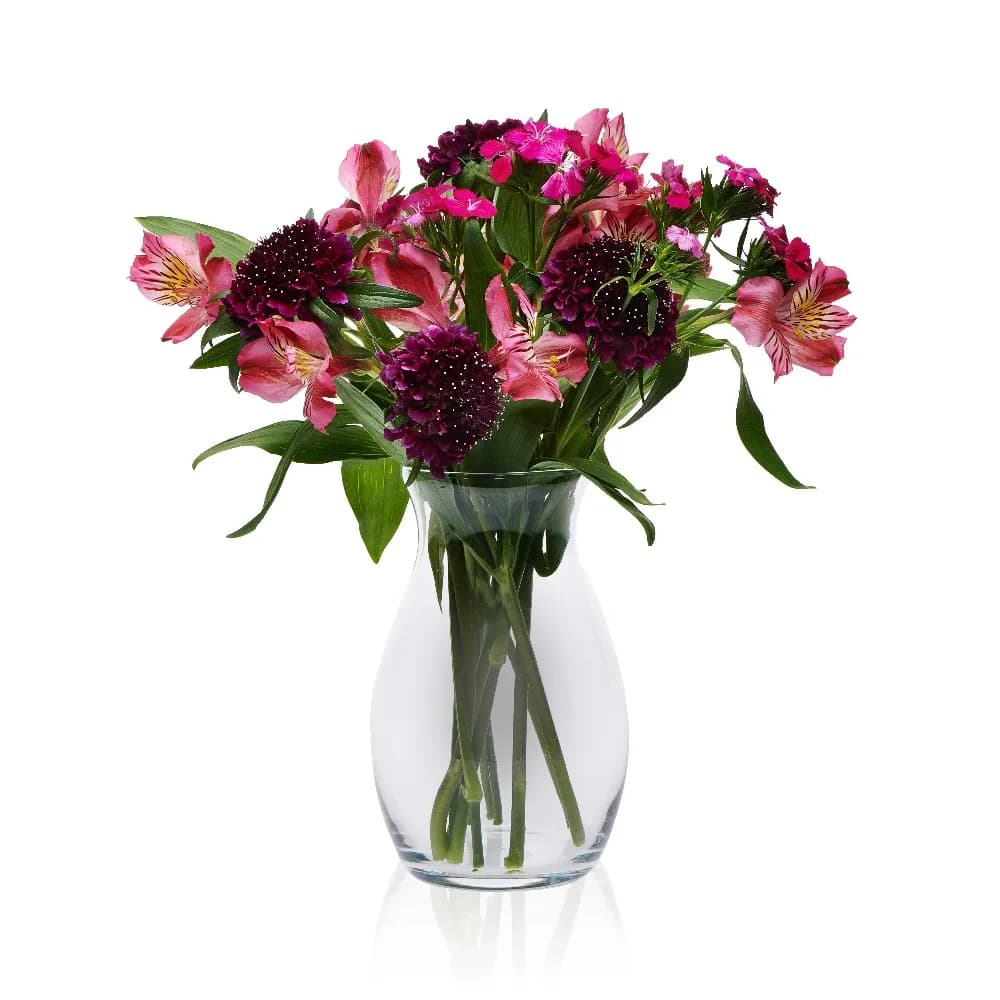 Clear Glass Pot Belly Shaped Floral Vase, 7'' Handblown Transparent Decor Vase, Multipurpose Flower Container for Real & Artificial Plants, Farmhouse Modern Desktop Decor & Housewarming Gifts