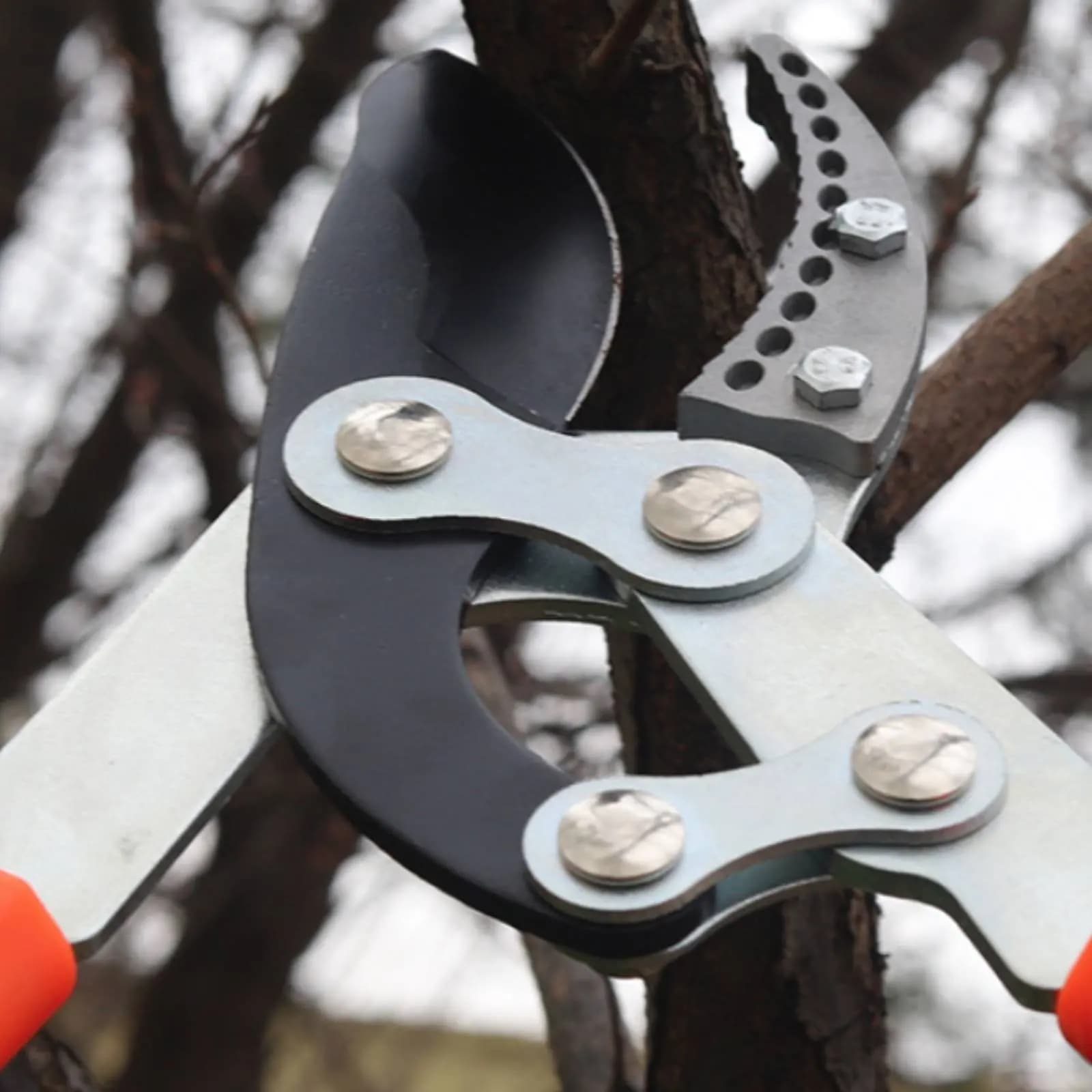 Forbici Telescopiche per Potatura con Lama Affilata, Robuste Cesoie per Alberi, Impugnatura Comoda, Attrezzo da Giardinaggio con Rivestimento Antiaderente