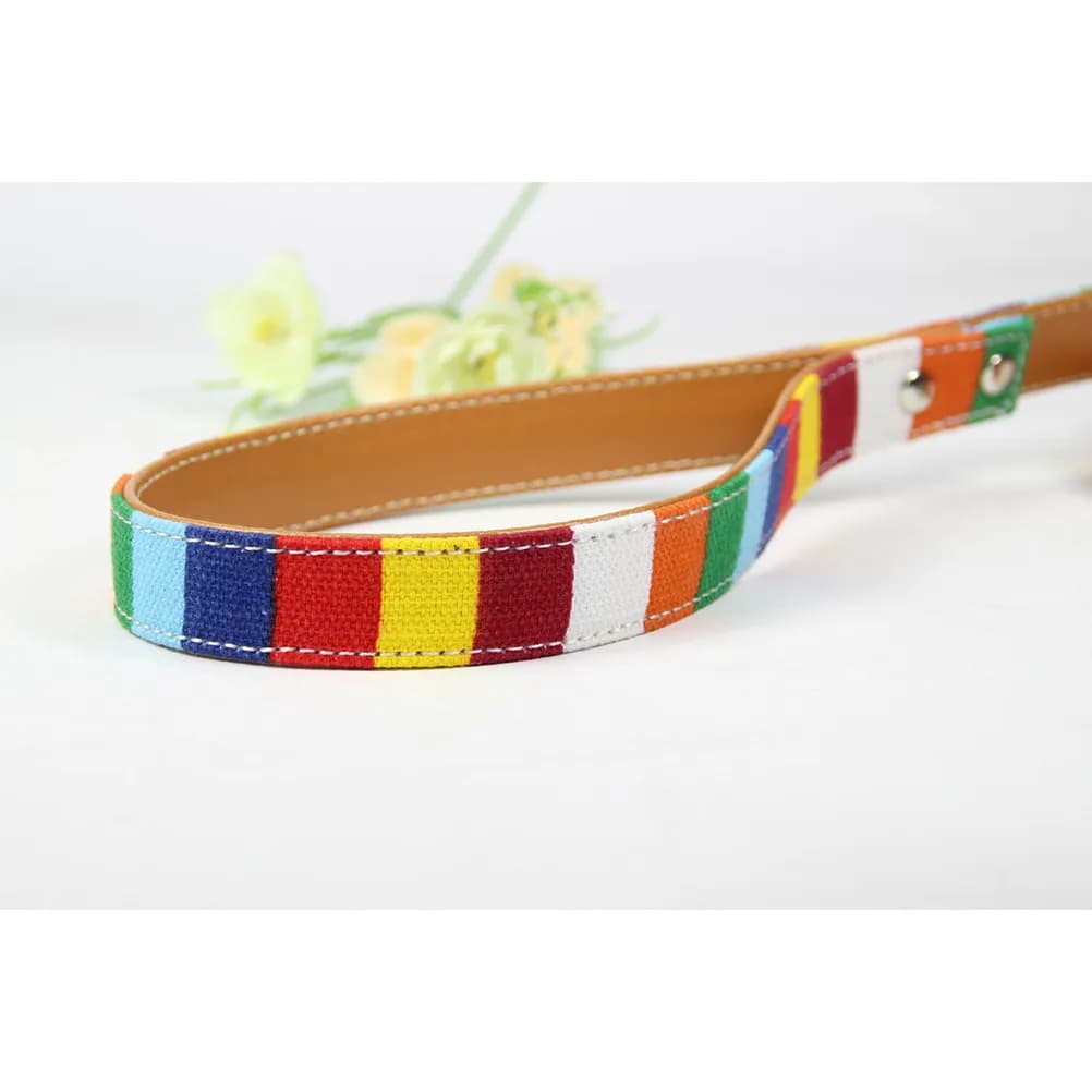 Puppy Walking Rope Leash Cute Pet Colorful Reflective Dog Collars and Leashes Comfortable Body