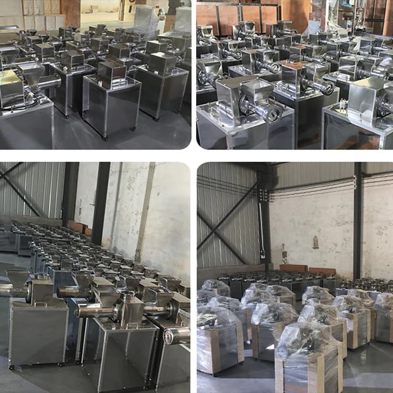 Nuova Macchina Automatica per Pasta: Estrusore e Miscelatore per Pasta, Noodle e Maccheroni