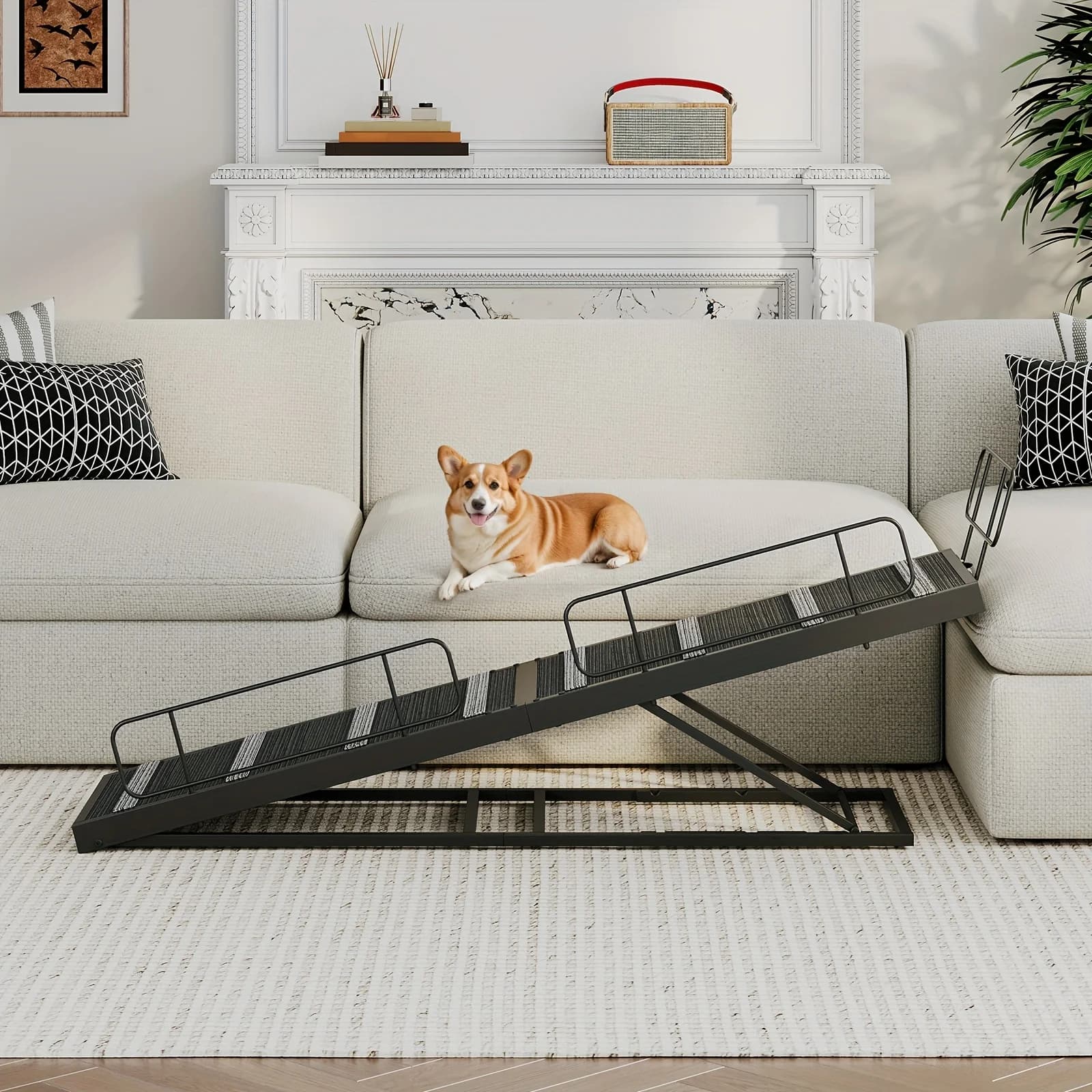 Rampa per cani nera, rampa per cani lunga 63 pollici per divano o letto, rampa per animali domestici con tappetino antiscivolo e sponde di sicurezza, 4 altezze regolabili