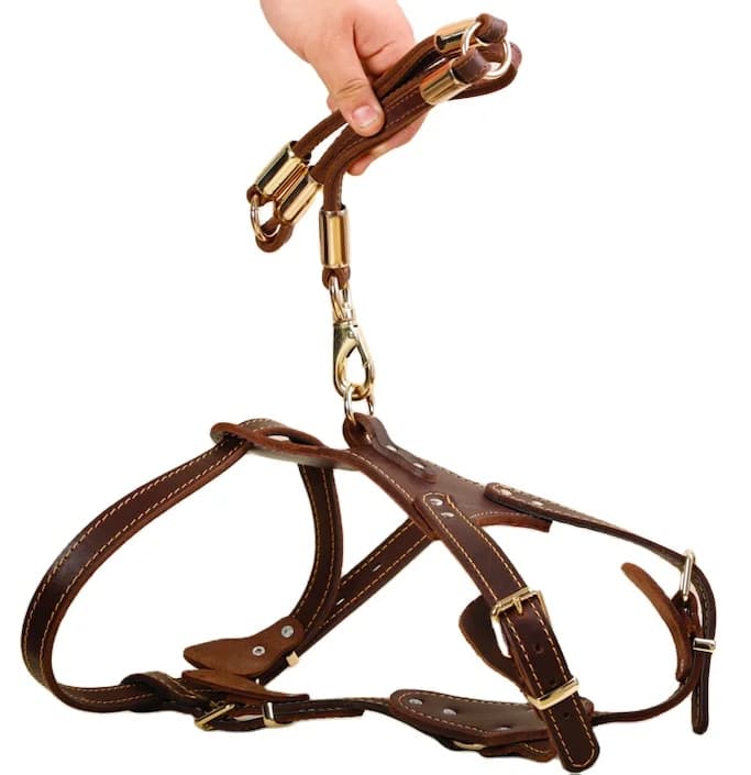 Fascia fatta a mano 75-90 cm Cintura pettorale per cani da compagnia in morbida pelle di mucca durevole per cani da pastore tedesco
