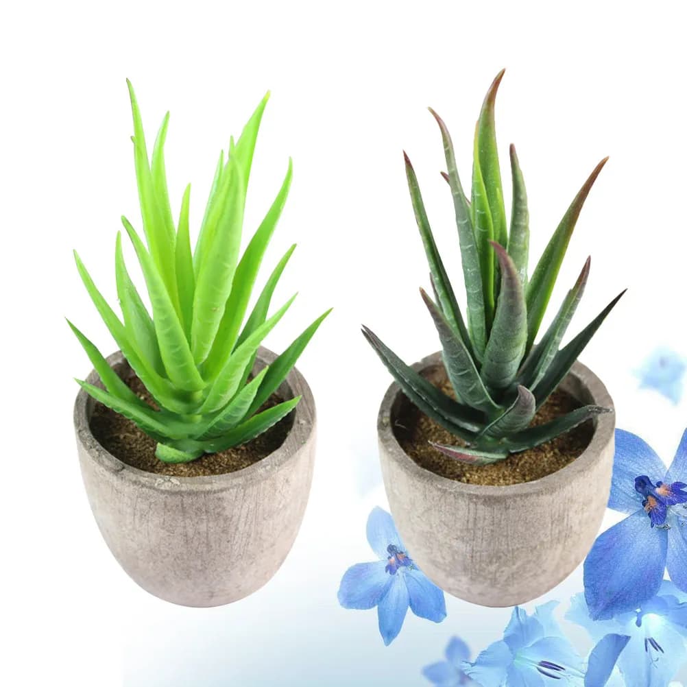 2Pcs Faux Succulent Plants Artificial Fake Simulation Decorative Succulent Bonsai for Office Living Room Bedroom Home Garden