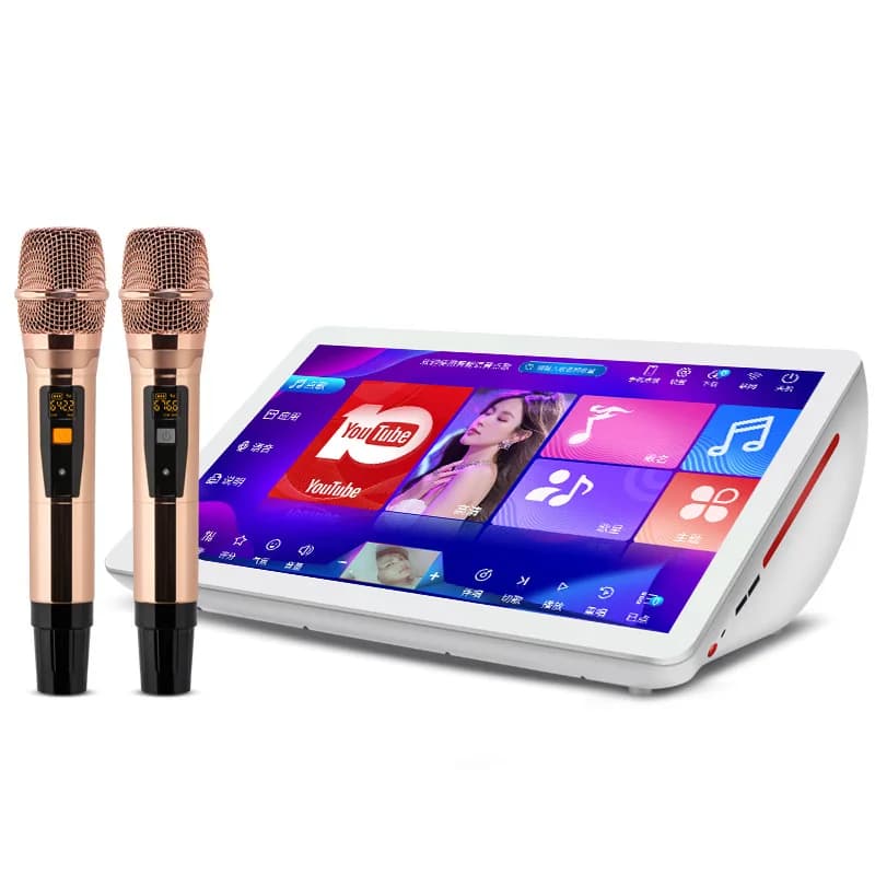 Macchina Karaoke con Schermo Touch, Attivazione Vocale, Console KTV Domestica, Microfono Wireless, Scheda Audio All-in-One per