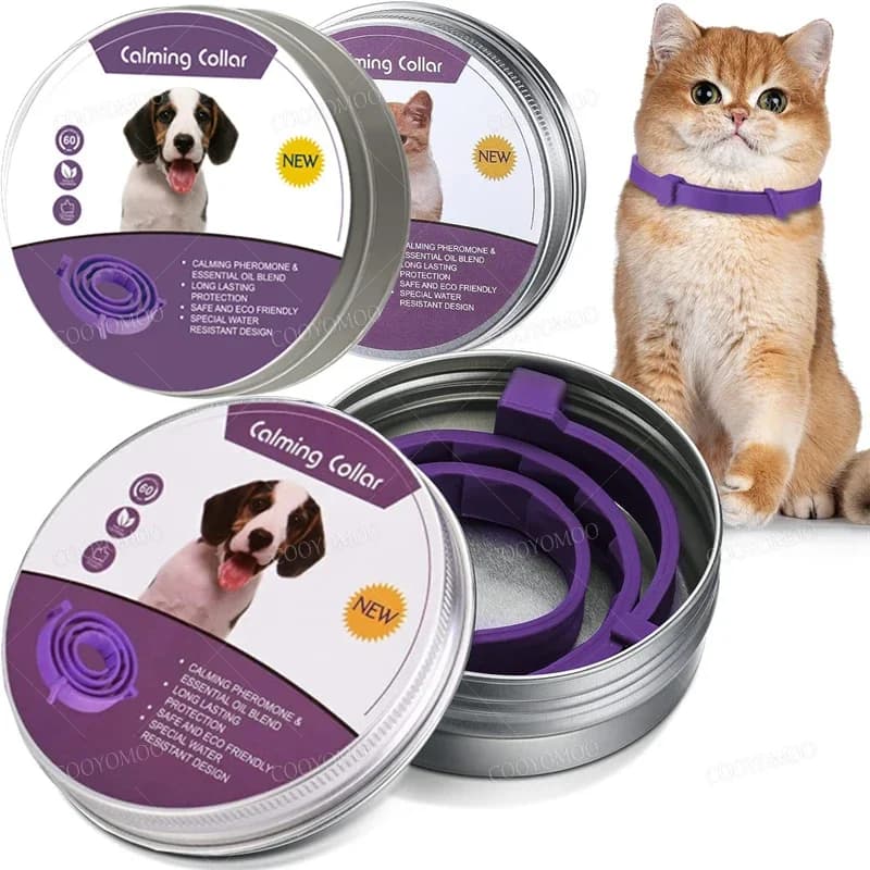 Collare per feromoni calmante per cani di nuova versione Collare confortevole regolabile per sollievo dall'ansia per gatti per cuccioli di gattino Accessorio per cani di grandi dimensioni