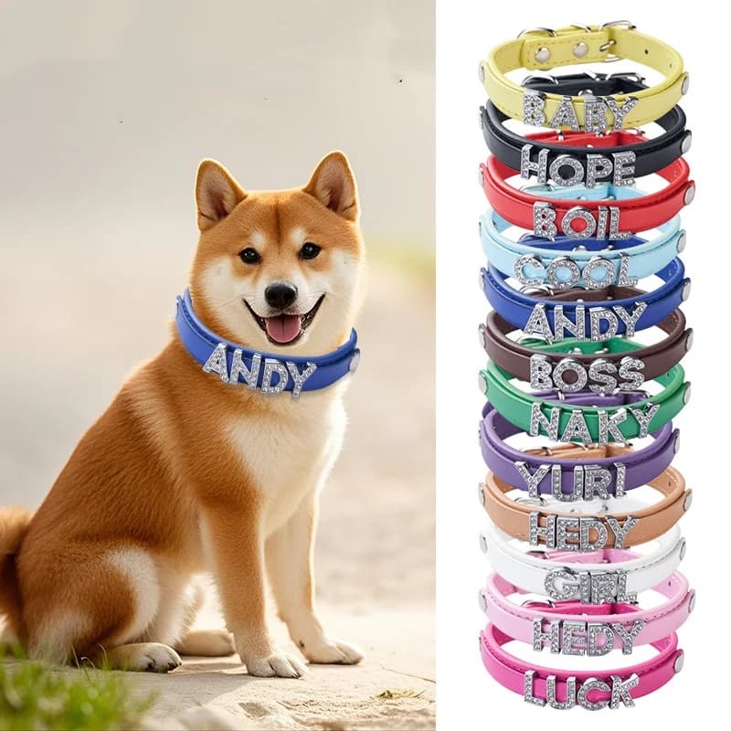 Nome fai da te Gioielli in cristallo d'acqua Lettera personalizzata Collari per animali Collari per cani Sciarpe per gatti Guinzagli per cani