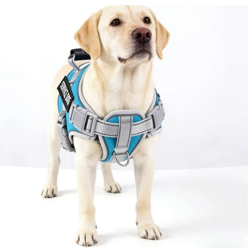 New Dog Chest Harness, Large, Medium, and Small Dog Vest Style for Walking Dogs, Explosion-proof Charging for Outdoor Activities