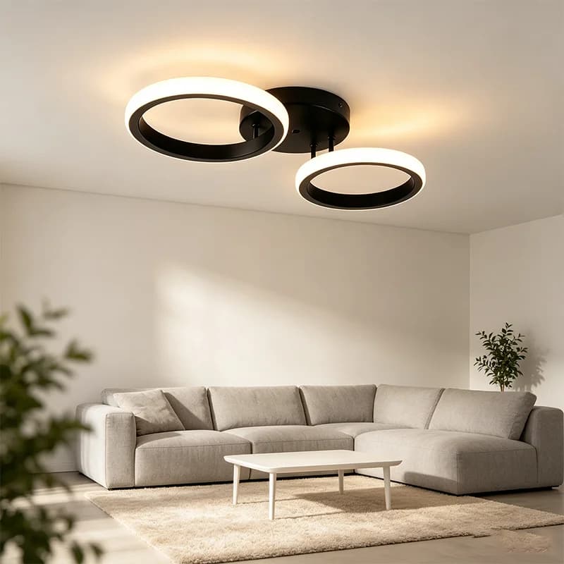 3000K Warm White Double Ring LED Ceiling Light Minimalist Black Ceiling Lamp for Bedroom Hallway Living Room