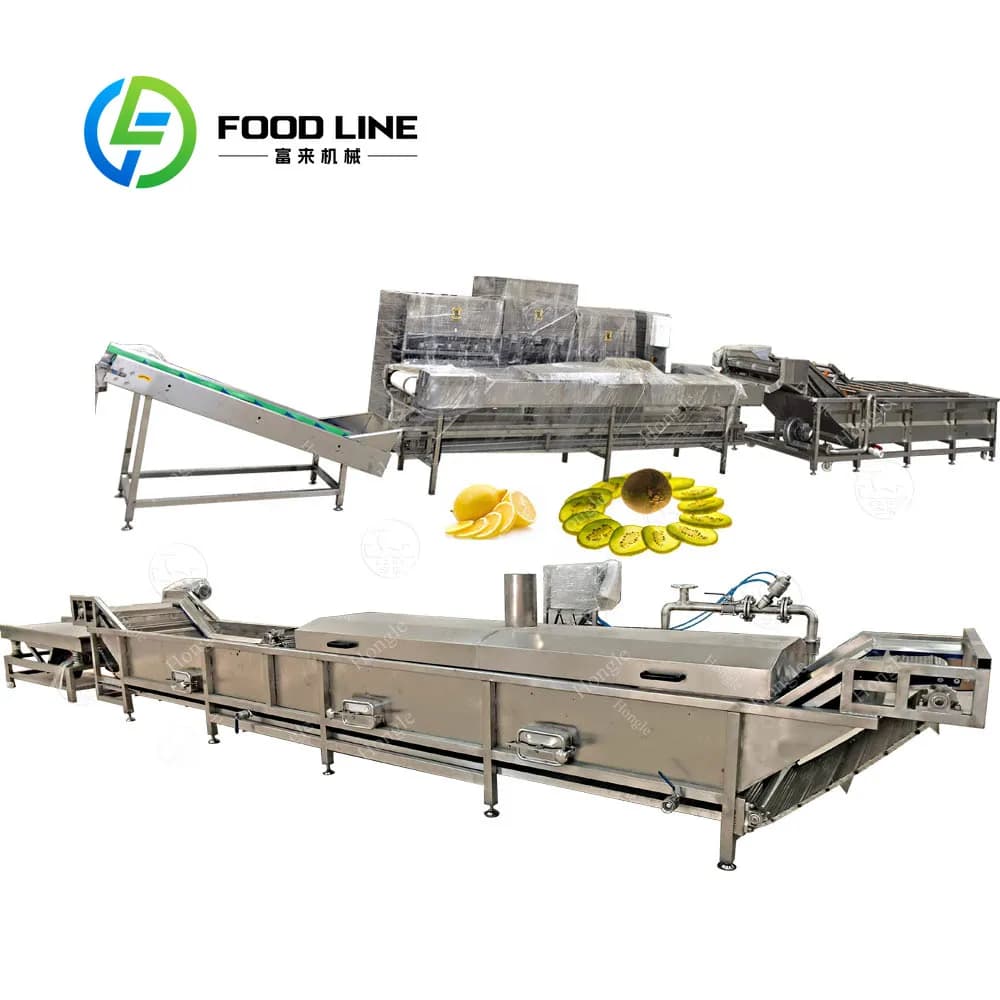 Linea di frutta secca Kiwi Linea di produzione di macchinari da 1 t per ora
