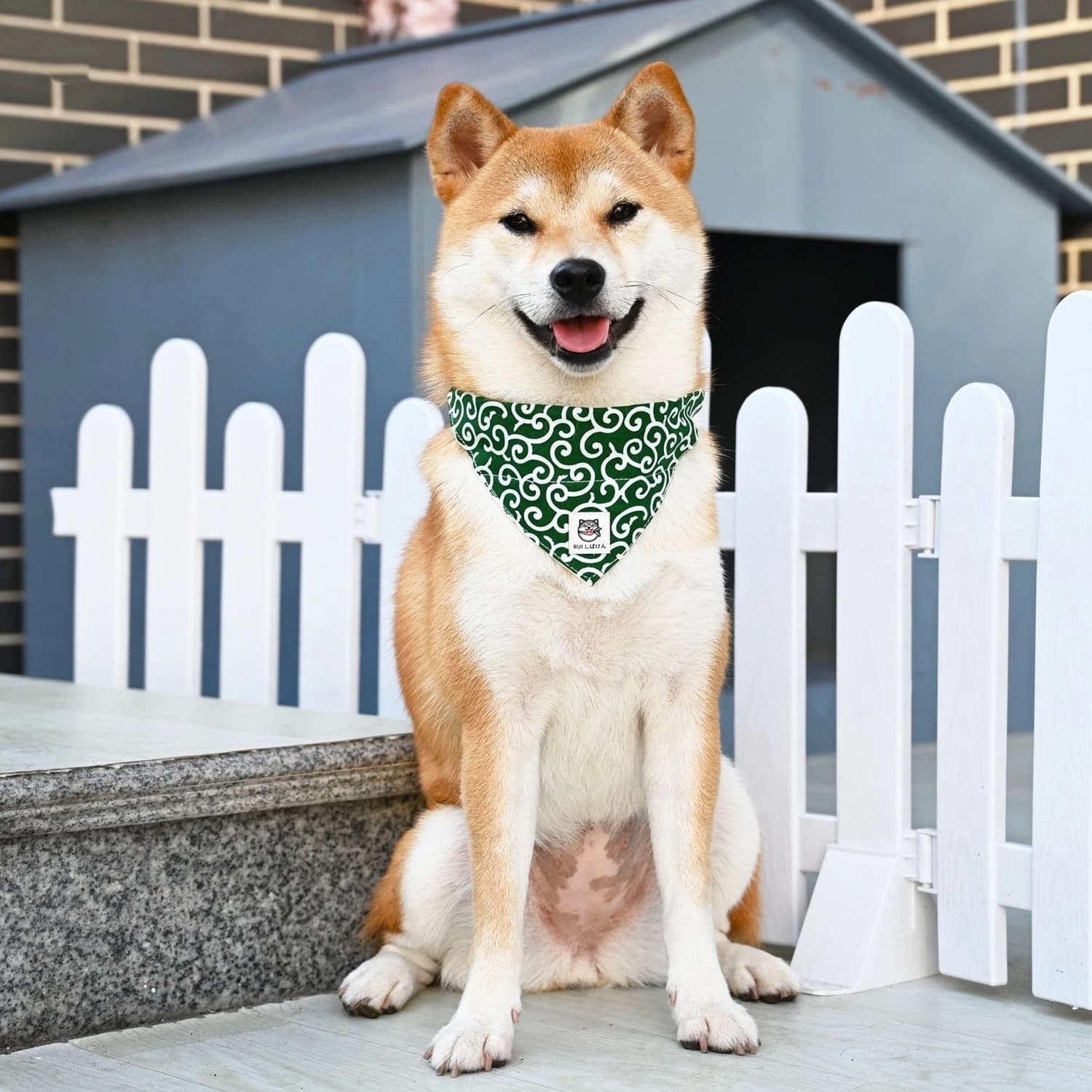Accessori per cani NUOVO Collare Bandana per cani da compagnia Collare per cani Fazzoletto da collo Simpatico cucciolo stampato Sciarpa al collo a triangolo Saliva