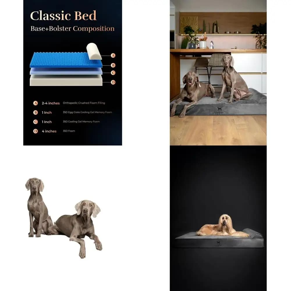 Cuccia Ortopedica XXL per Cani 55x45x9.5 - Memory Foam con Gel, Impermeabile e Lavabile, con Rivestimento Rimovibile