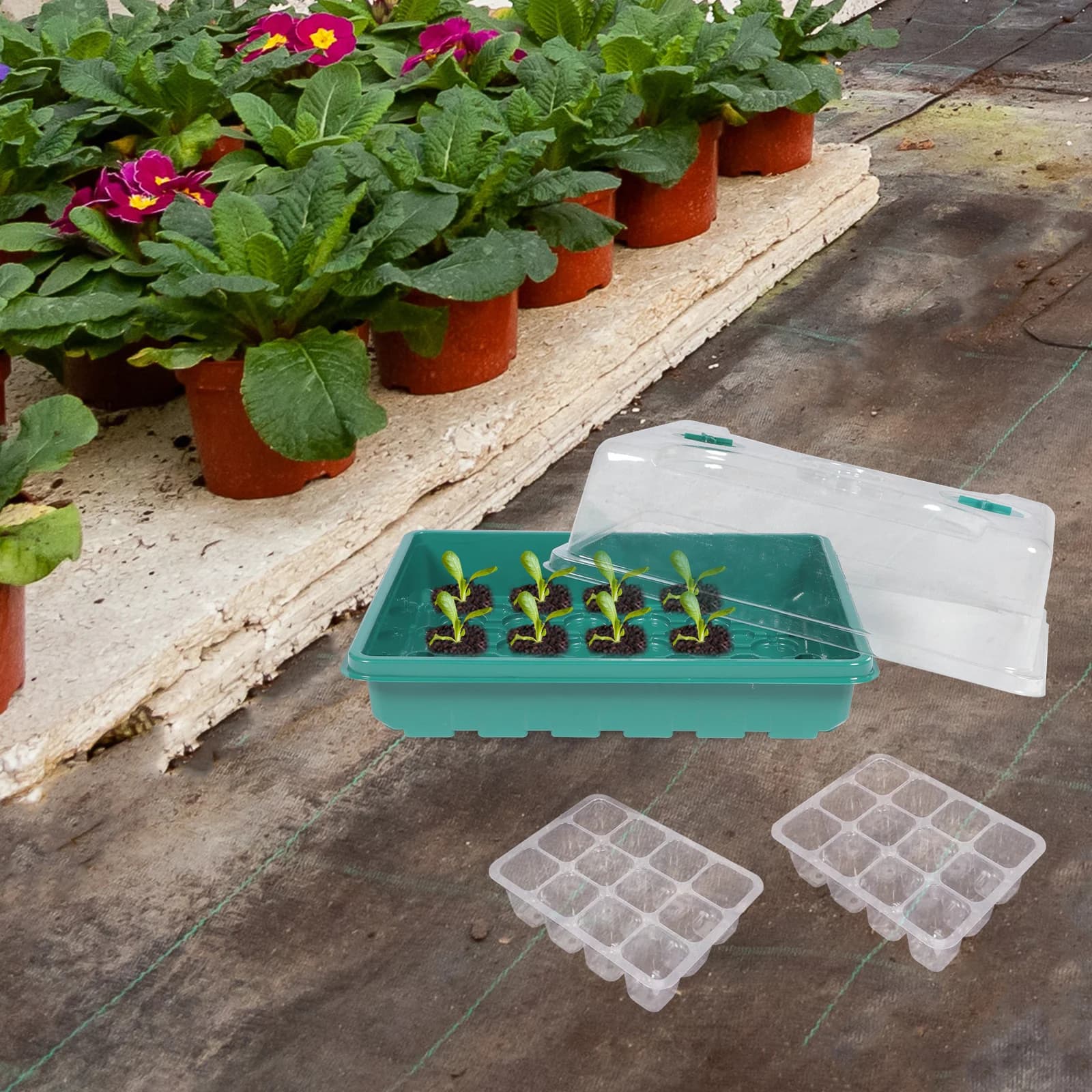 Set of 12 Plastic Trays for Germination of Seeds, Flowers, Vegetables and Tomatoes, Container for Vivary Growing, Gardening Tool