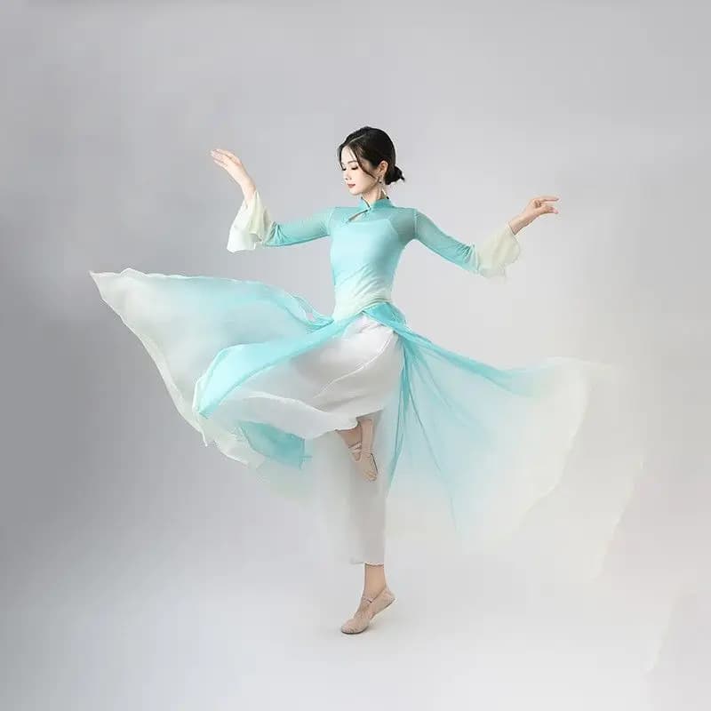 Classical Dance Body Movement Gradient Sheer Gauze Flowing Women's Skirt-Pants Chinese Dance Performance Costume Art Exam Dance