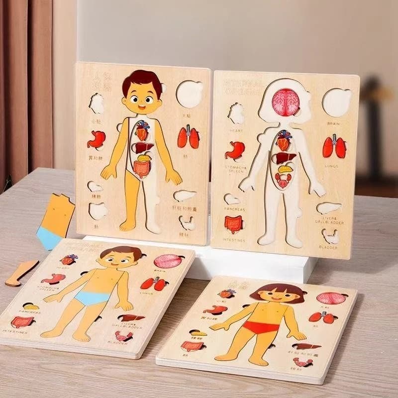 Puzzle Montessori Tavola occupata Insegnamento del corpo umano Apprendimento Parti del corpo per bambini Giochi di educazione precoce Per i più piccoli Libri silenziosi