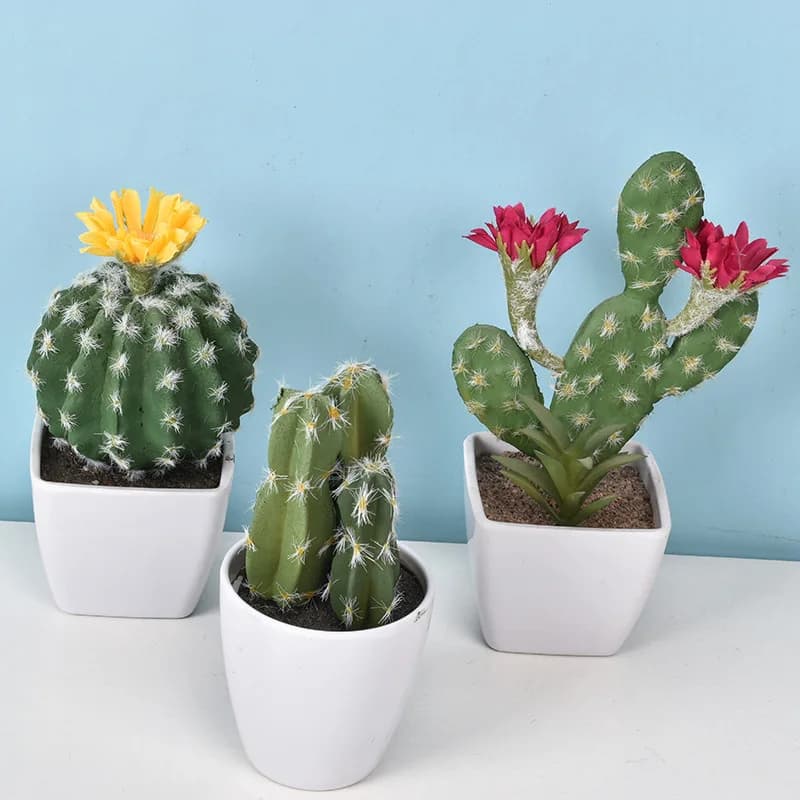 2 Pezzi di Cactus Simulato Senza Vaso, Pianta Finta Realistica e Carina, Pianta Succulenta Artificiale, Ornamento da Scrivania