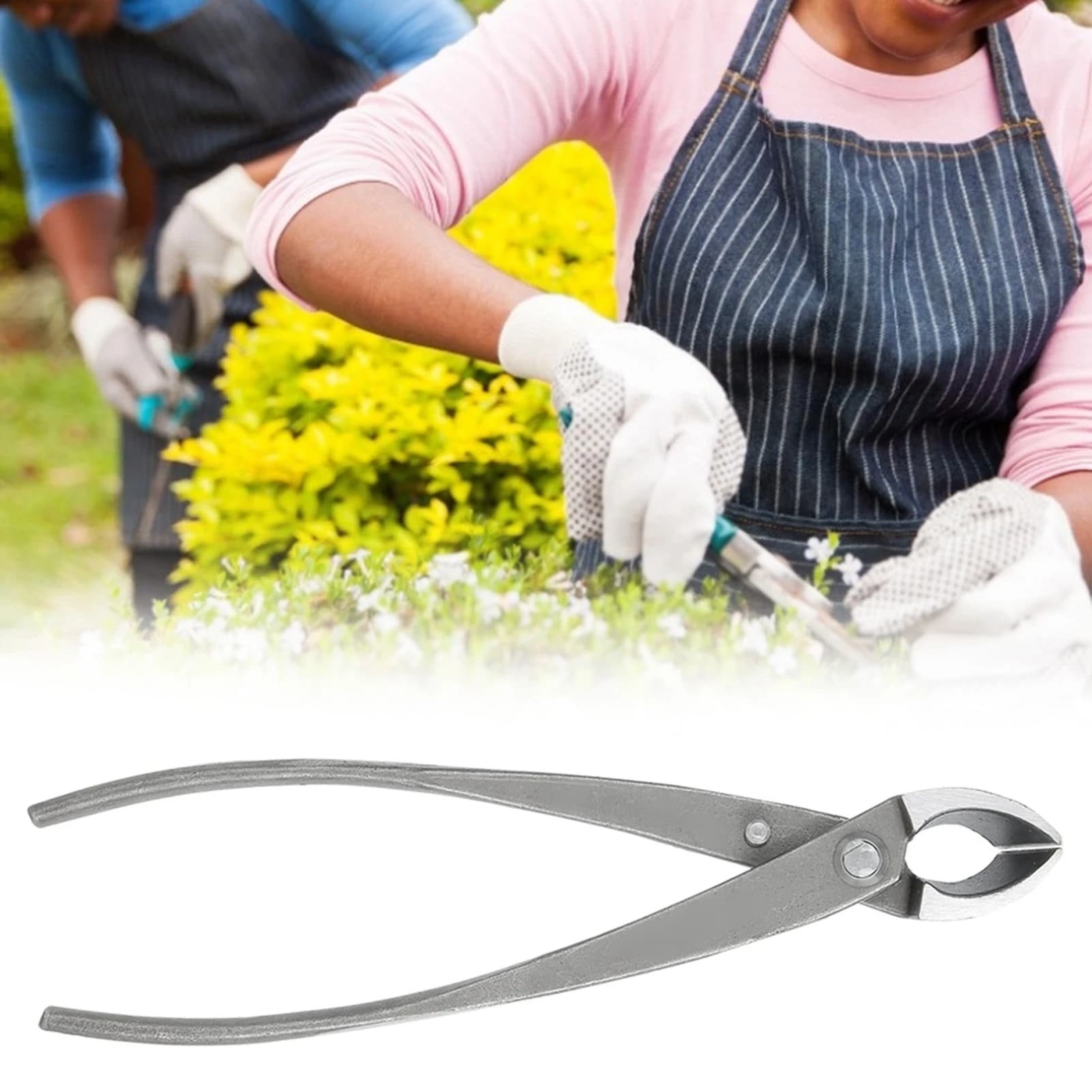 Taglierina for bonsai Multifunctional pruning shears Cutlery for tree branches bonsai garden shears Garden shears Scissors Tools Cutlery for branches