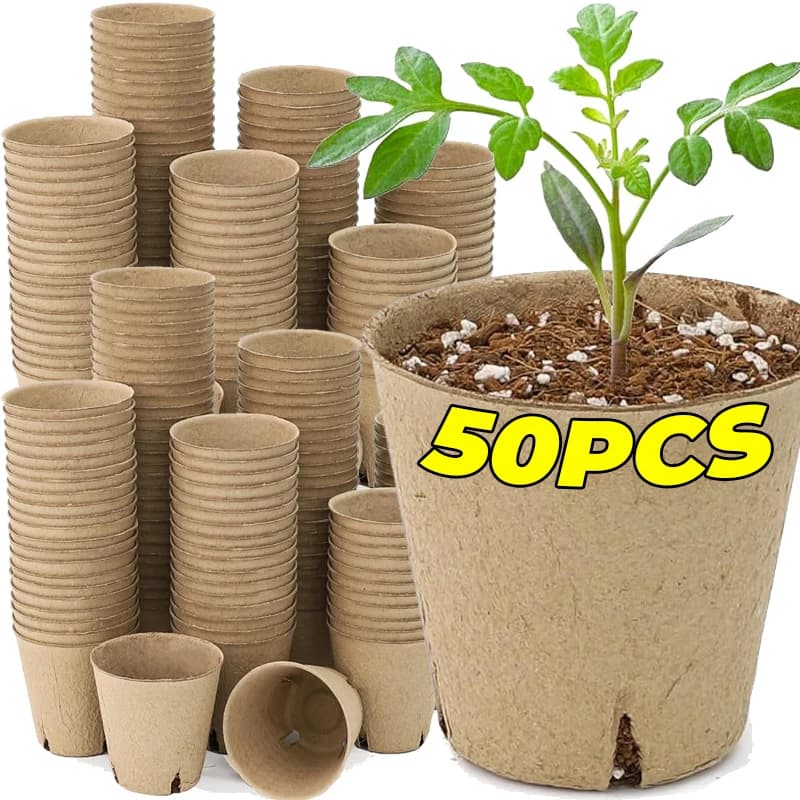 10/50 Pots for Plants in Biodegradable Polpa, Containers for Semina, Trays for Germination Seeds, Garden Jars, Boxes for Growing Flowers
