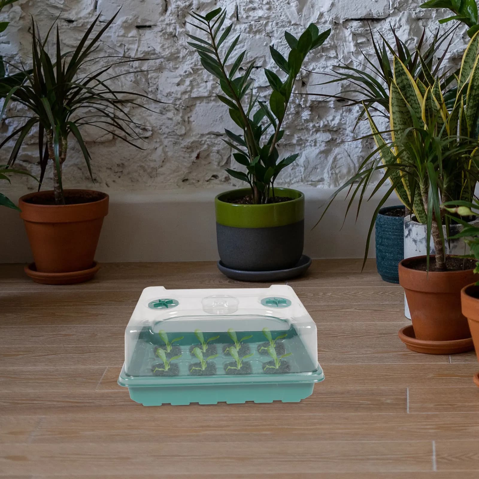 Set di 12 Vassoi per Germinazione in PP, Contenitori per Semina di Piccole Sementi, Pomodori, Fiori, Verdure, Frutta, per Giardino Domestico e Vivaio