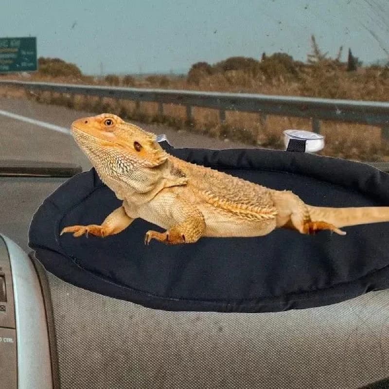 Sacco a pelo per animali domestici, cuccia per auto per lucertole, gechi, porcellini d'India, conigli, criceti, tappetino per rettili, cuscino portatile caldo e accogliente