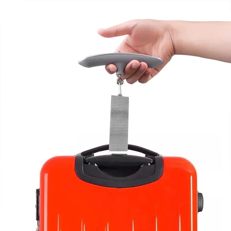 50kg/110lb Bilancia elettronica portatile retroilluminata LCD Bilancia digitale per bagagli Borsa da viaggio Appesa Stadera Gancio Bilancia da pesca