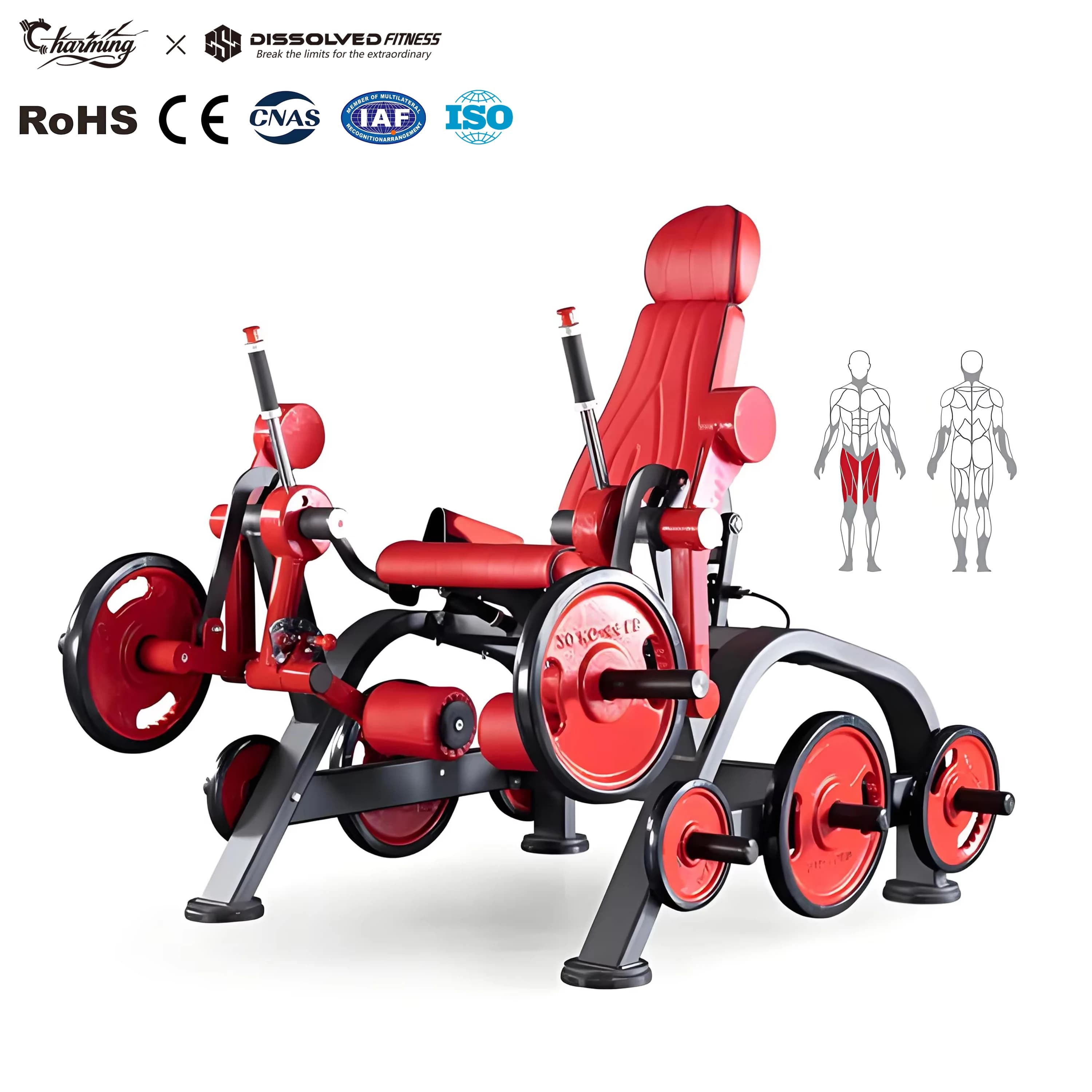 Business Fitness Equipment Charged machines with free weight gym plates- Leg extension Sitting Alternate Strength Training