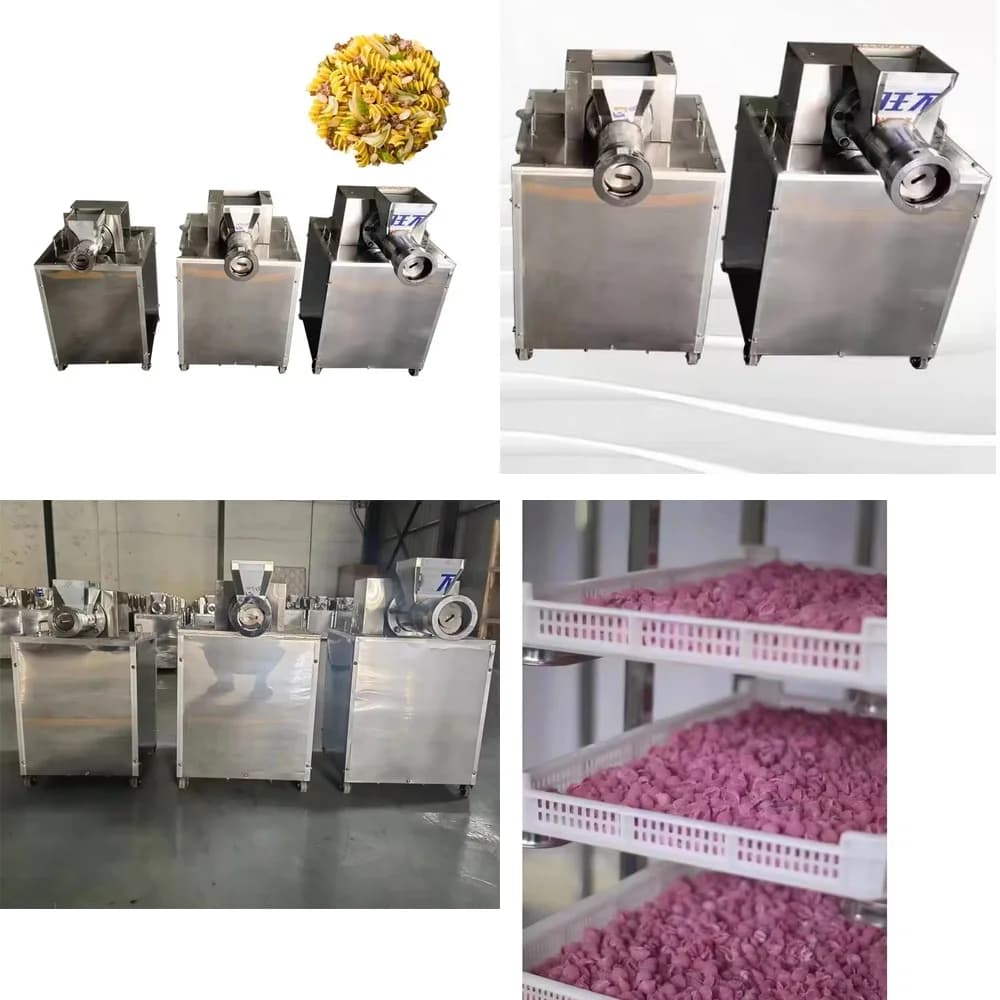 Macchina Elettrica ad Alta Efficienza per Fare la Pasta, per Uso Domestico e Commerciale, per Spaghetti, Maccheroni, Lasagne e Impasti