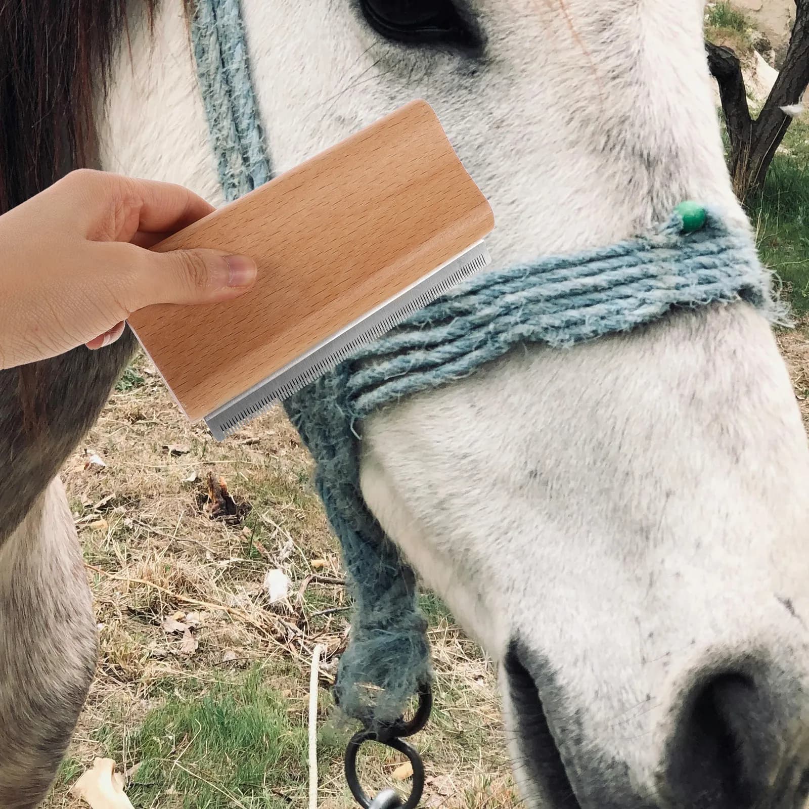 Spazzola per la toelettatura e la rimozione del pelo per animali domestici, cavalli, gatti e cani - Strumento ergonomico raschiatore per la rimozione del pelo e la cura della pelle - Spazzola per cavalli
