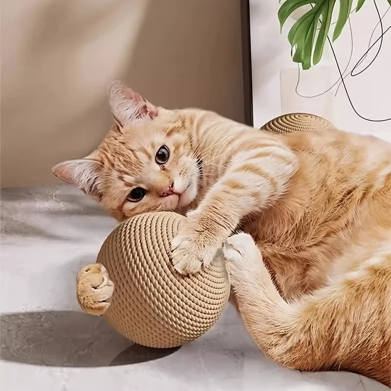 1pc Nuovo giocattolo interattivo con palla antigraffio per gatti, per la pulizia dei denti dei gattini, anti-morso, 8 cm, giocattolo con palla per gatti, articoli per animali domestici