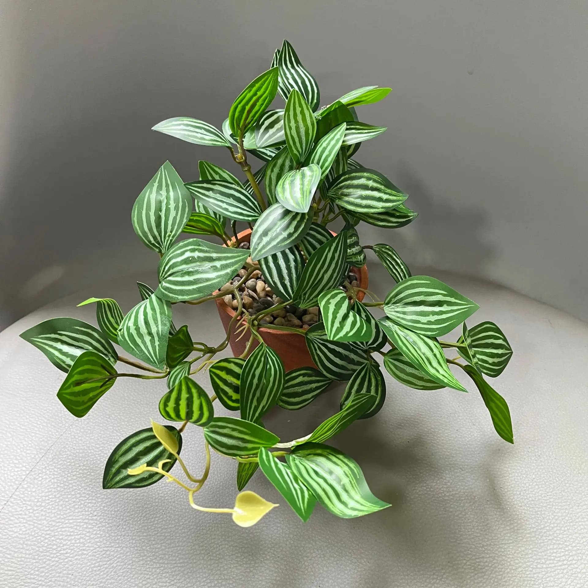 2 pieces of artificial plants for eyebrows, mini short leaves of watermelon in rattan, potted plants, rattan decoration, home decoration