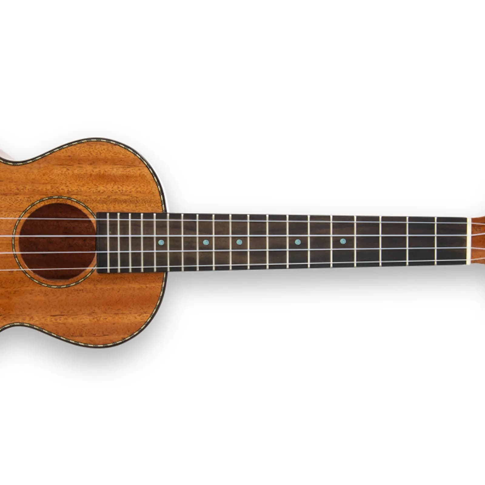 10 Pezzi Originali in Madreperla di Abalone per Tastiera, Punti Rotondi Uniformi per Decorazione di Chitarra, Mandolino, Banjo, Ukulele