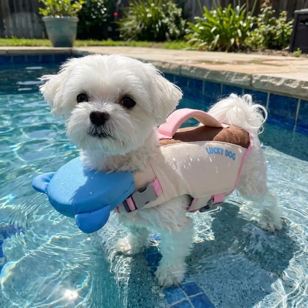Strong Buoyancy Dog Life Jacket Adjustable Waterproof Pet Life Vest Thick Sponge Pad Breathable Puppy Safety Vests Swimming