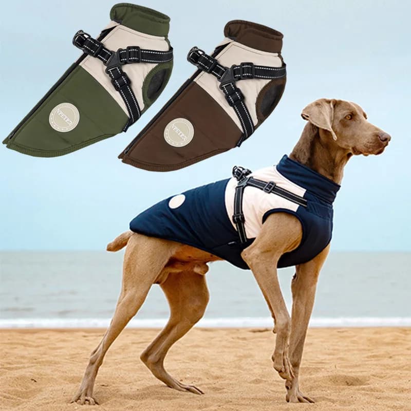Gilet per cani caldo con imbracatura incorporata Cappotto per cani riflettente impermeabile Fibbia sul petto regolabile Foderato in pile Abbigliamento invernale per animali domestici