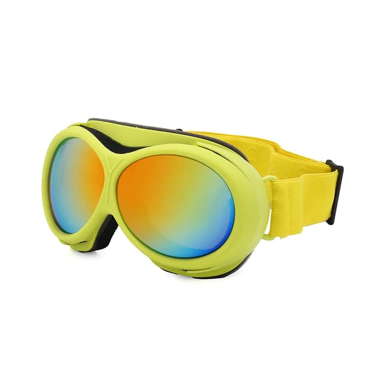 Occhiali da sci professionali con lenti Toric antivento per uomo Donna Occhiali sportivi all'aria aperta Maschera da sci regalo per ciclismo all'ingrosso alla moda