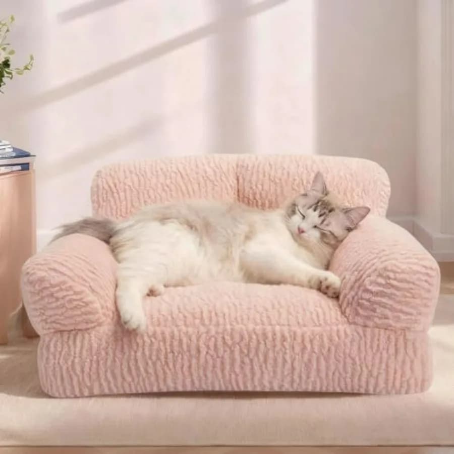 Divano Letto per Gatti - Cuccia Ortopedica Morbida per Gatti da Interno, Rivestimento Lavabile e Rimovibile, Divano di Supporto per Gattini, 24 Pollici