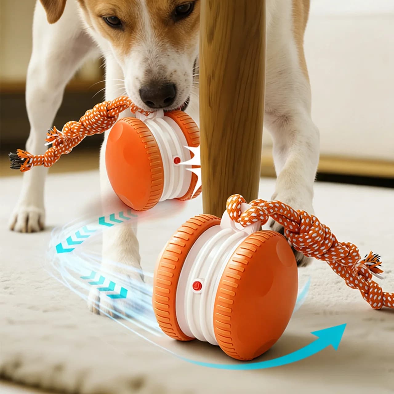 Interactive toys for dogs Smart rolling ball with rope Activated by Squeaky Dog Training Puppy Masticating toy balls