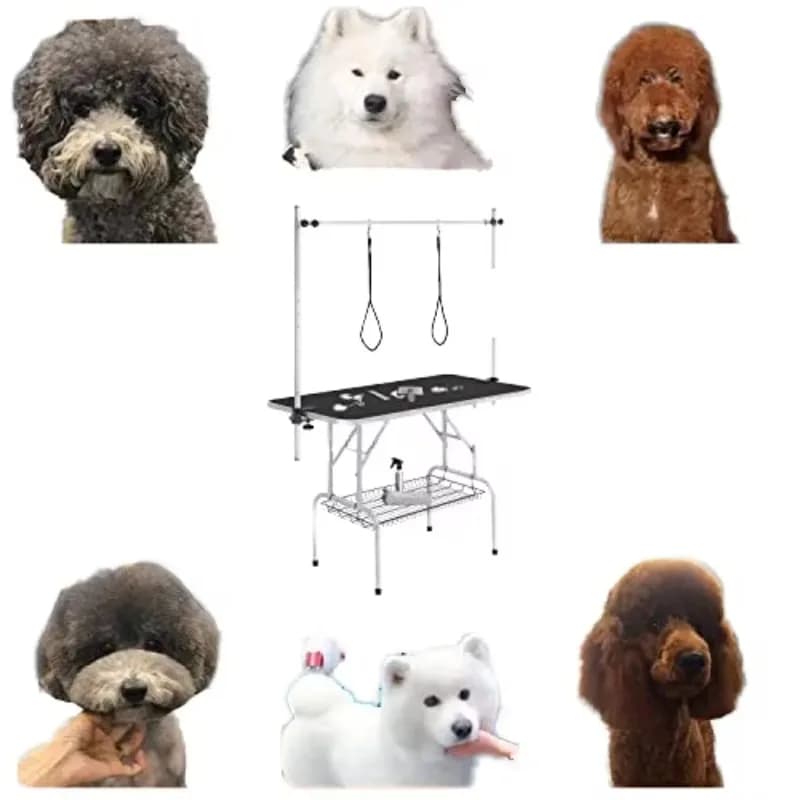 Petsproofing Stainless Steel Foldable Large Pet Salon Table Height Adjustable Dog/Cat Grooming Station Scissors Included Rubber