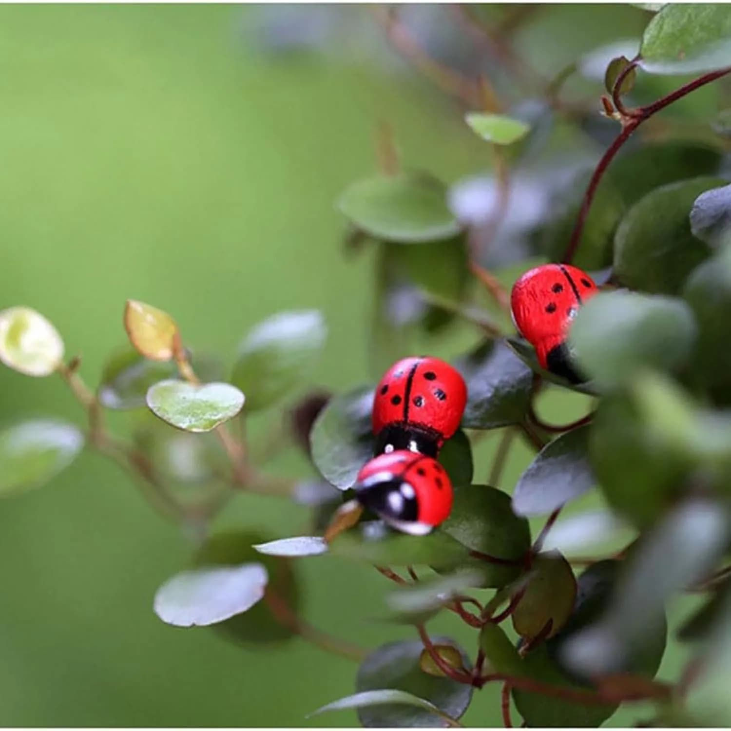 100-Pack Wooden Ladybug Stickers, Self-Adhesive Realistic 3D Decor for DIY Crafts, Scrapbooks, Home Garden & Party Decoration, Art&Beauty 100pcs Self-Adhesive Mini Ladybugs Wooden Ladybug Shaped Sticker