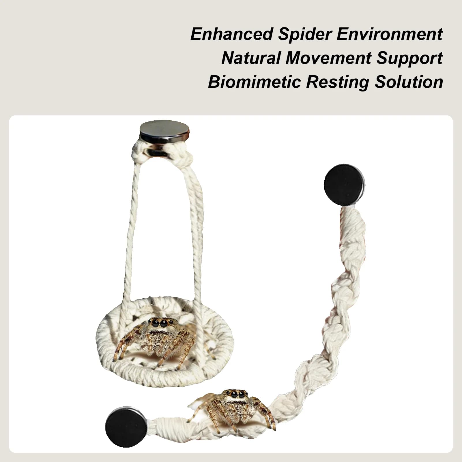 Jumping spider rope swings 2 pieces Cotton cord Natural hammocks Jumping spider accessories for camping walks Travel