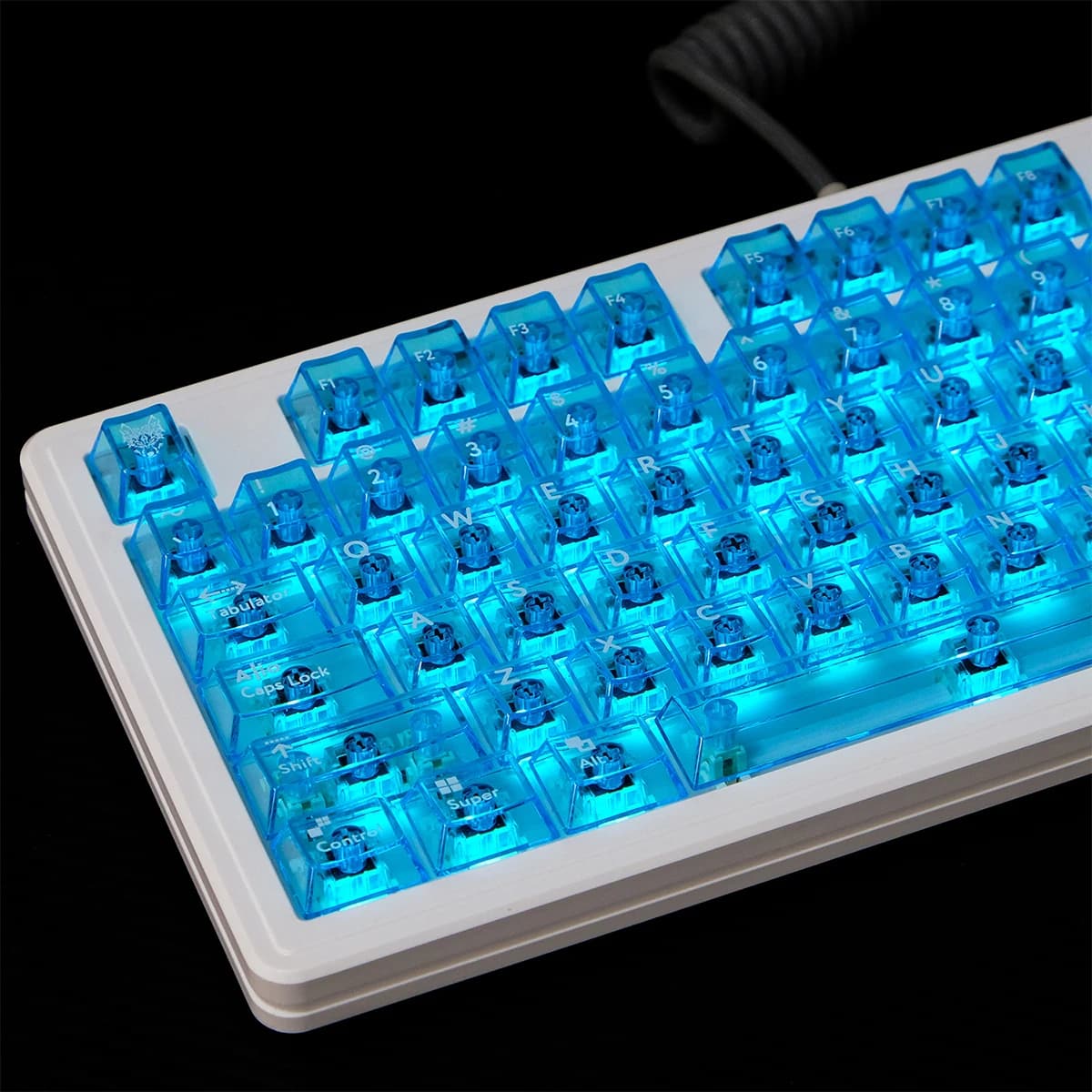 Copritasti trasparenti blu Copritasti per PC con profilo Cherry Copritasti RGB retroilluminati per interruttori Cherry Mx Tastiera meccanica