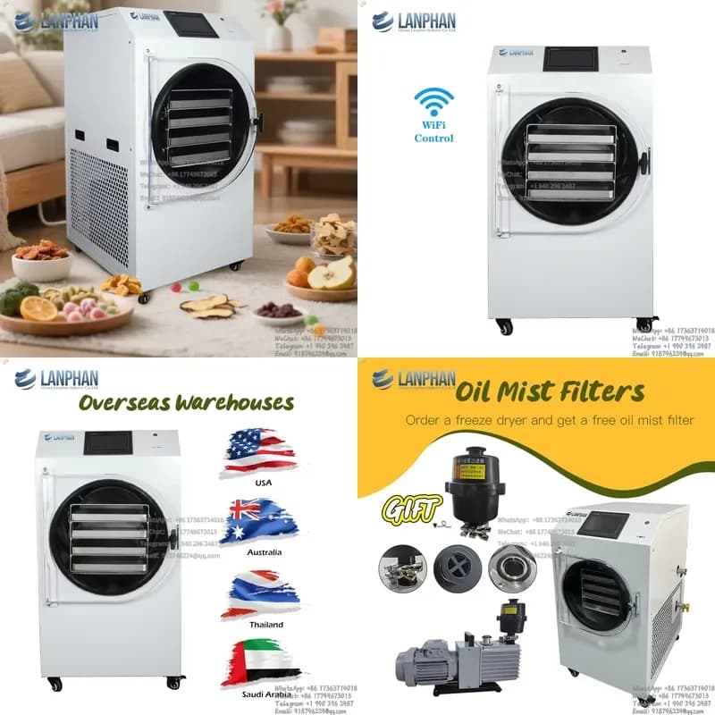 Household 6kg 8kg Fruit Food Dry Small Mini Vacuum Dried Home Dryer Lyophilizer With Oil Free Vacuum Pump
