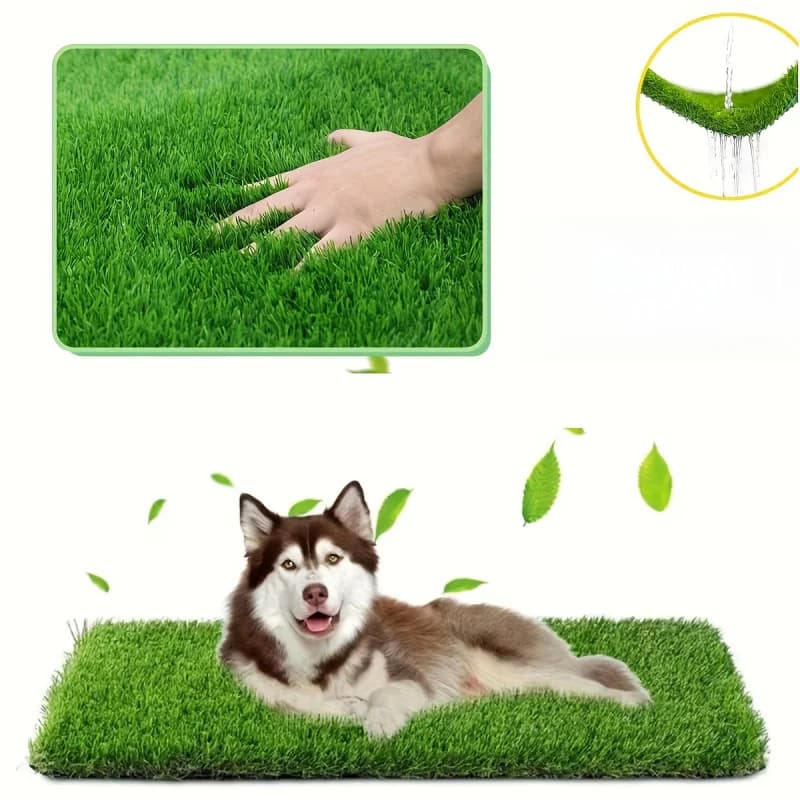 Tappetino lavabile per pipì per cani Tappetino assorbente a prova di perdite di alta qualità Tappetino universale per vasino per animali domestici per interni ed esterni Tappetino per rimozione odori M