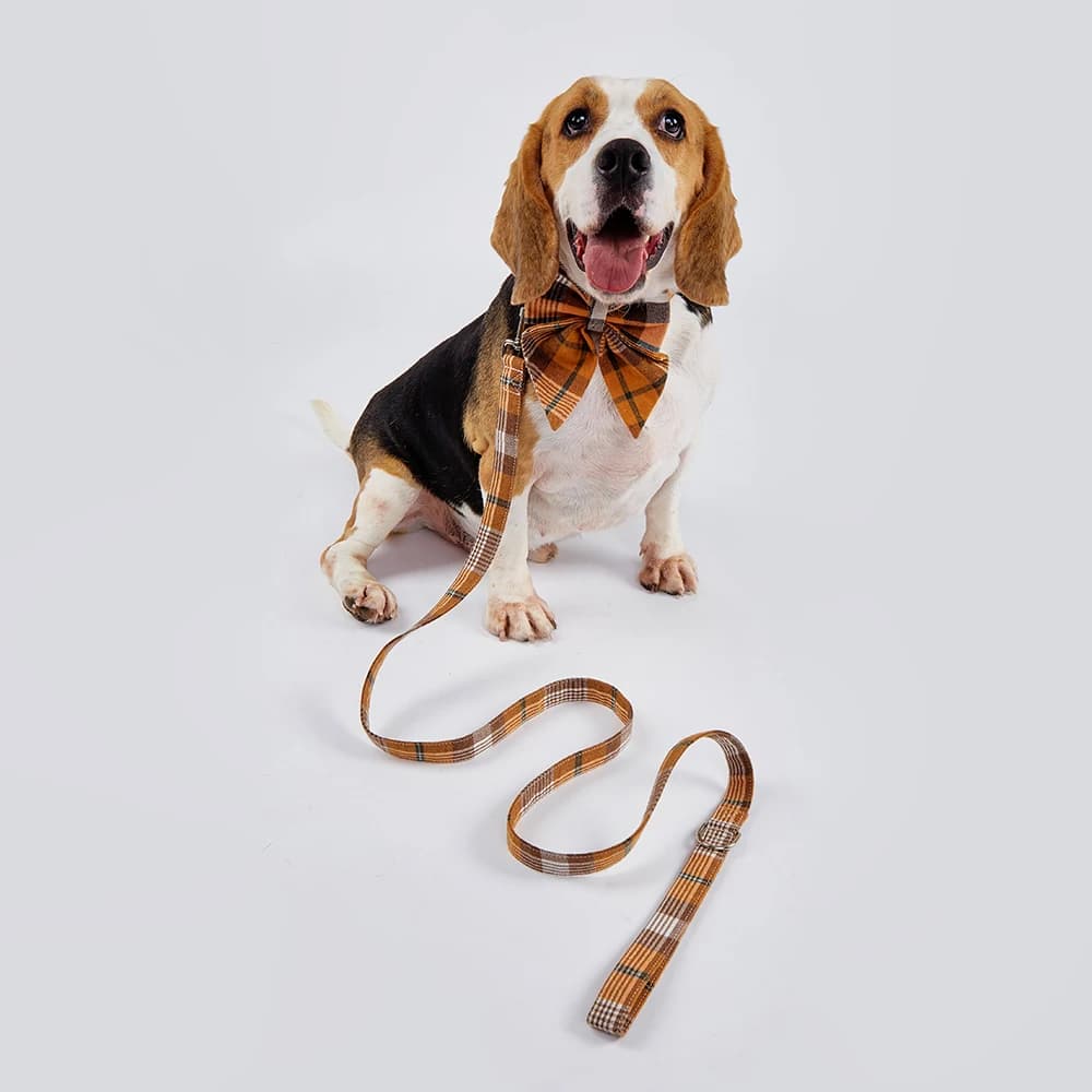 Collare per cani autunnale con guinzaglio Collare per papillon per cani del Ringraziamento Guinzaglio regolabile per collare per cani scozzesi arancioni per cani di taglia piccola, media e grande