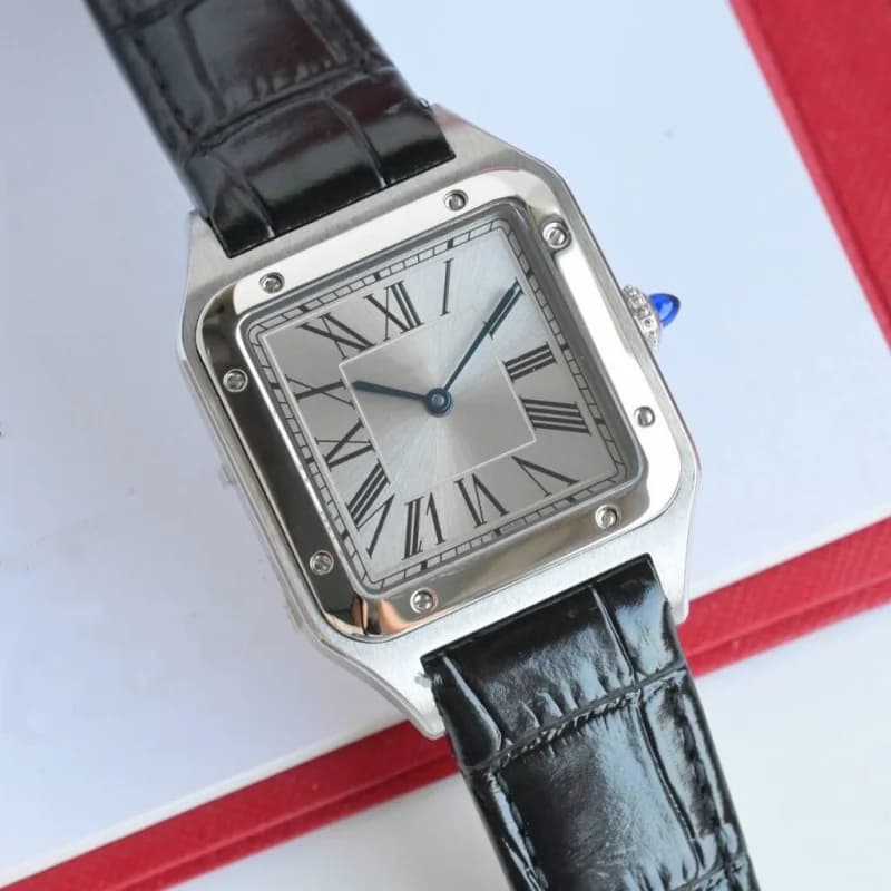 Orologio Meccanico Sportivo Personalizzato in Acciaio Inossidabile per Uomo, Automatico con Vetro Zaffiro, Orologi di Lusso