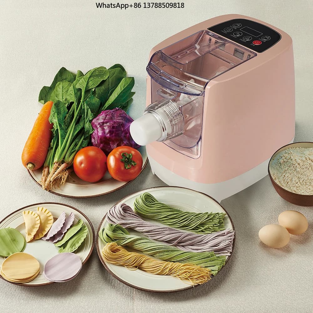 Piccola Macchina Elettrica Cinese Automatica per Fare la Pasta, Spaghetti, Noodle, Penne e Maccheroni