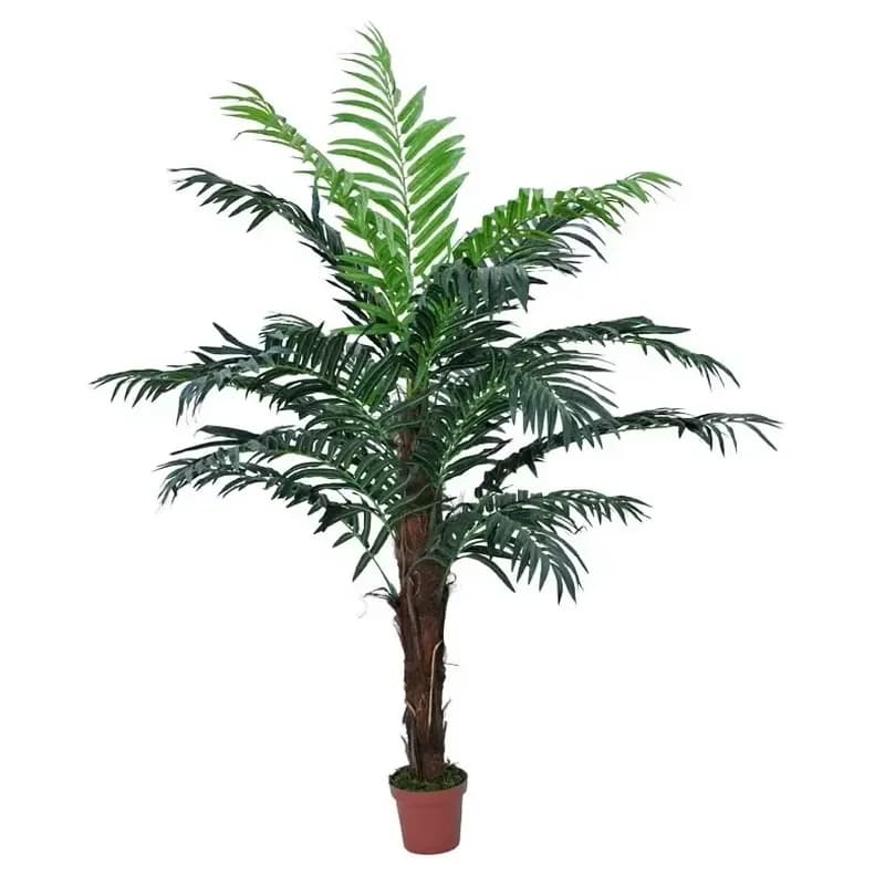 Artificial Tropical Plants for Ornamental Plants With Name