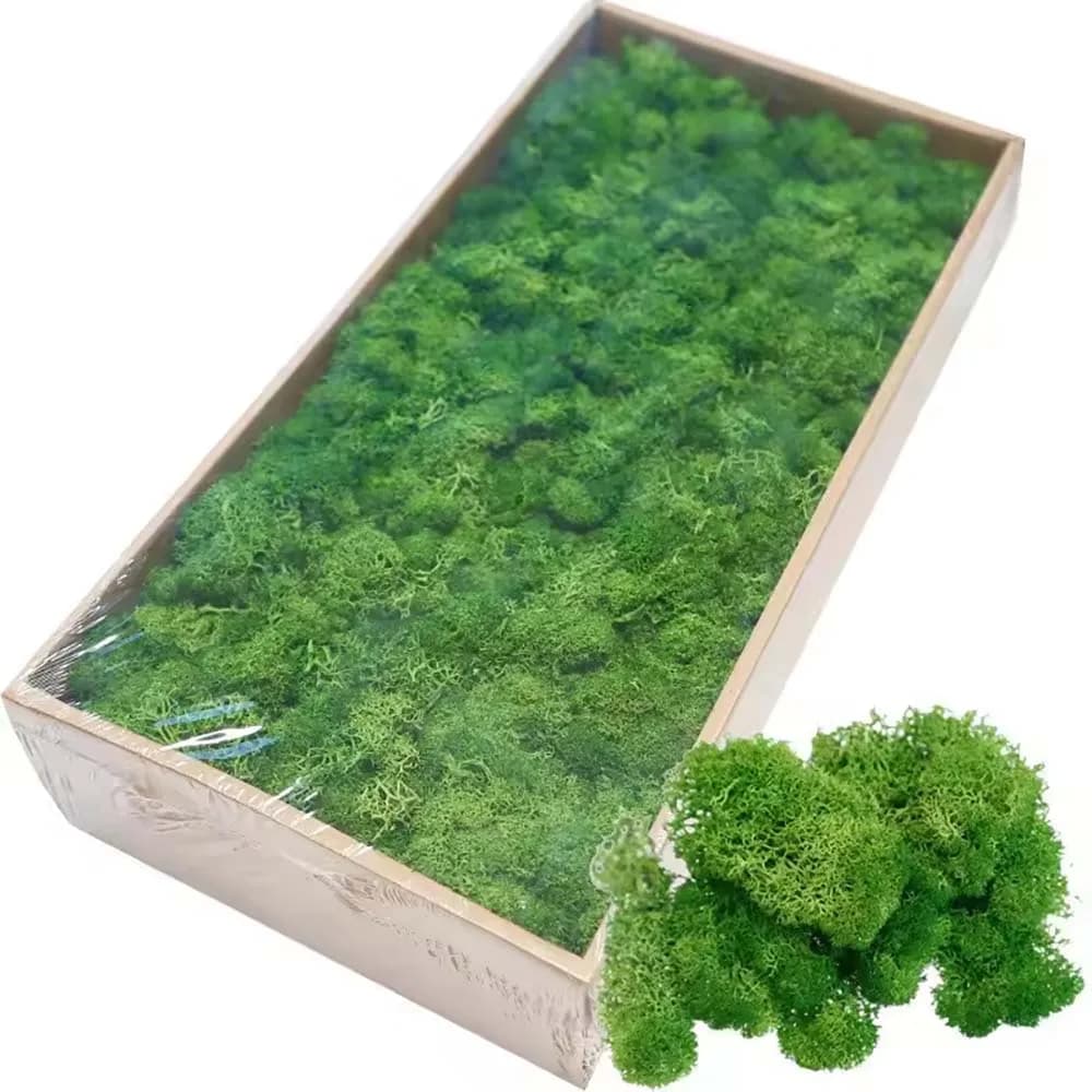 New Artificial Green Plants, Eternal Musk, Home & Garden Decoration, Mini Landscape, Fin Flowers, Fai-da-Te Crafts, Gifts
