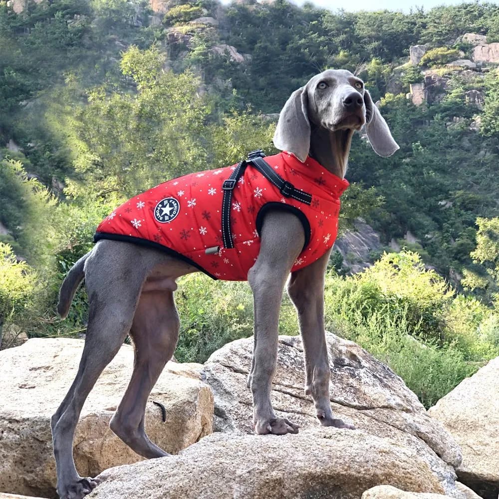 Pet Waterproof Warm Clothes for Dogs S-5XL Dog Sweater Jacket Harness Winter Labrador Coat Harness Pet Clothing