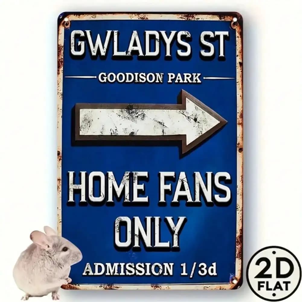 Immagine Metallica HD 2D Piana Blu con Freccia Direzionale 1/3D, Vintage Calcio, Stadio Goodison Park, Solo per Tifosi, Admissione Esclusiva, W